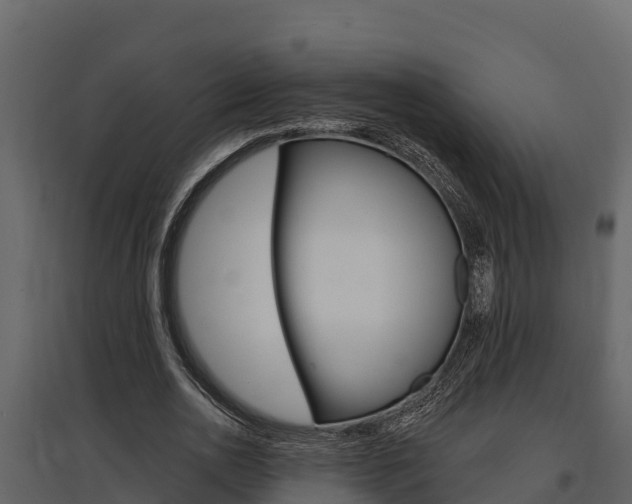 X0000097810726200803140758
