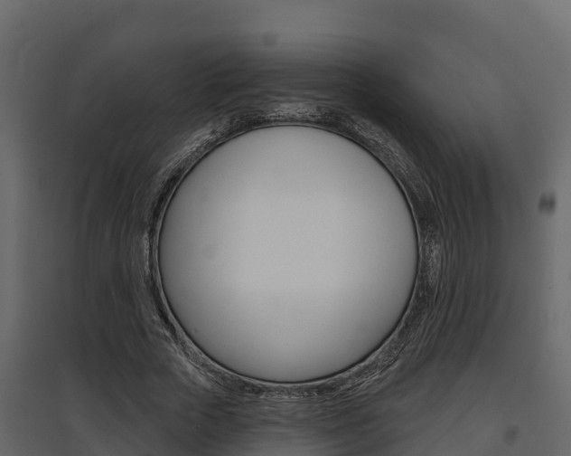 X0000097810729200803140758