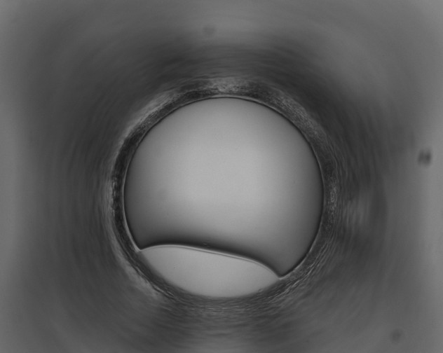 X0000097810730200803140758