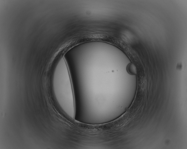 X0000097810731200803140758