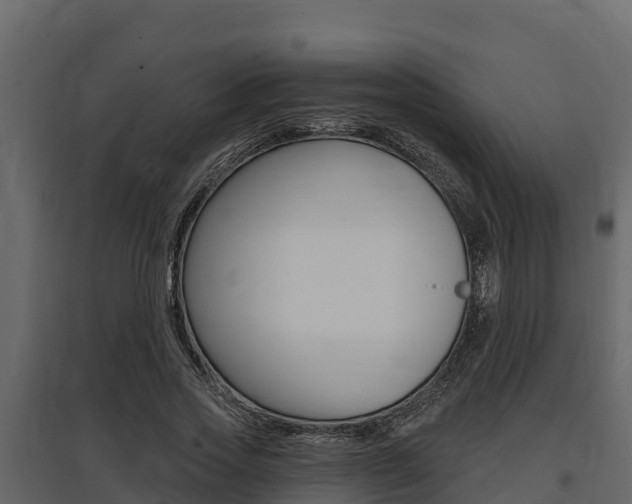 X0000097810733200803140758