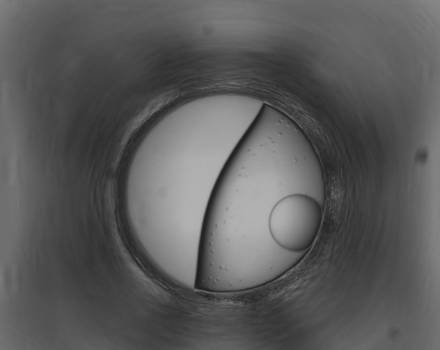 X0000097810734200803140758
