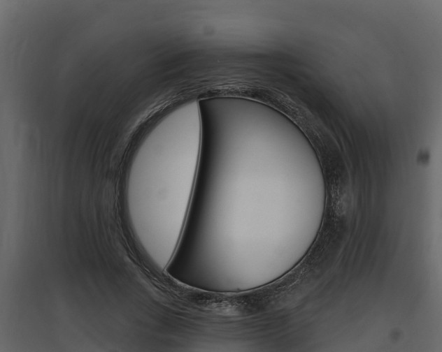 X0000097810735200803140758