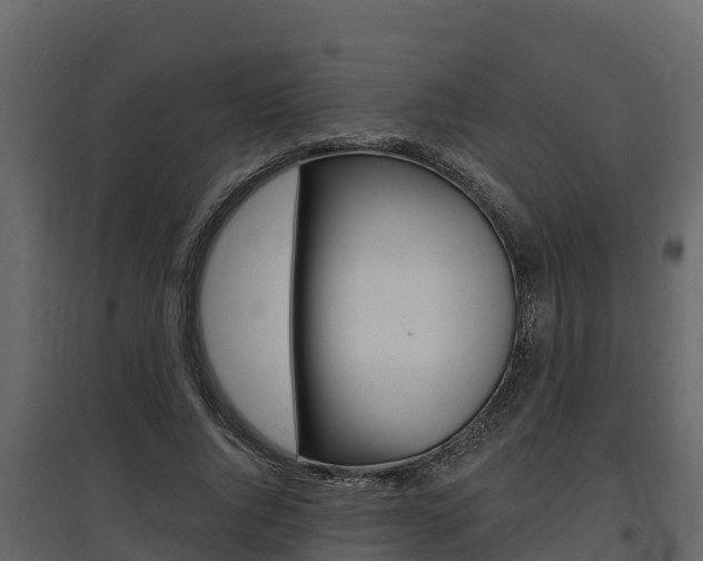 X0000097810736200803140758