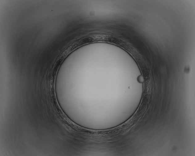 X0000097810737200803140758