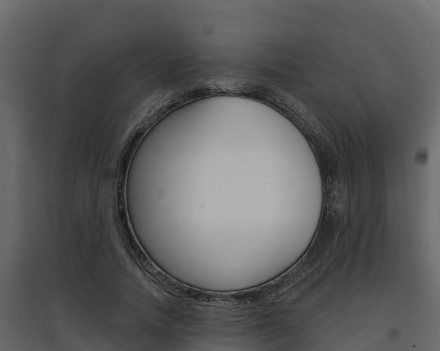 X0000097810738200803140758