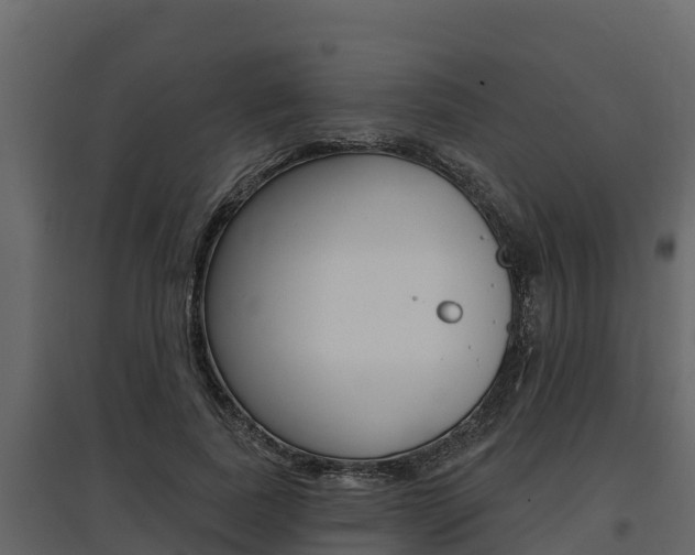 X0000097810739200803140758