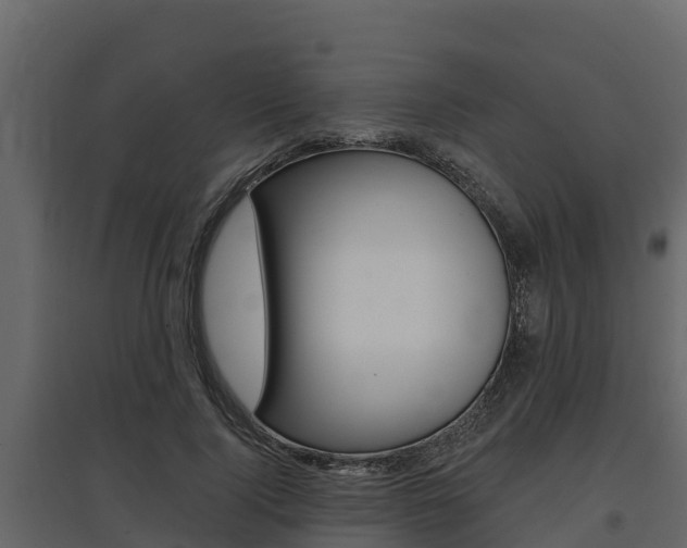 X0000097810740200803140758