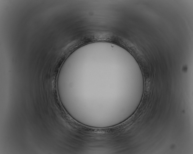 X0000097810741200803140758