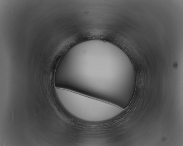 X0000097810742200803140758