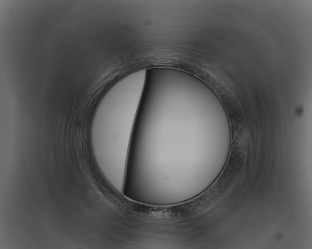 X0000097810744200803140758