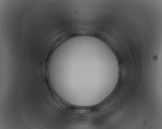 X0000097810745200803140758