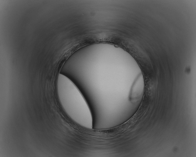 X0000097810746200803140758