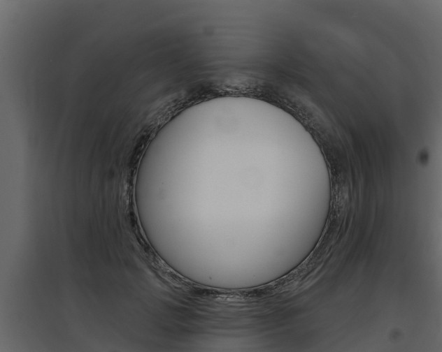X0000097810749200803140758