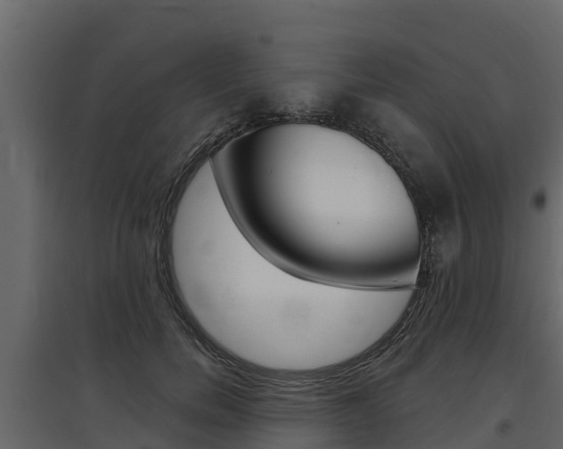 X0000097810750200803140758