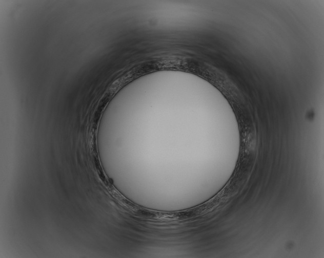 X0000097810753200803140758