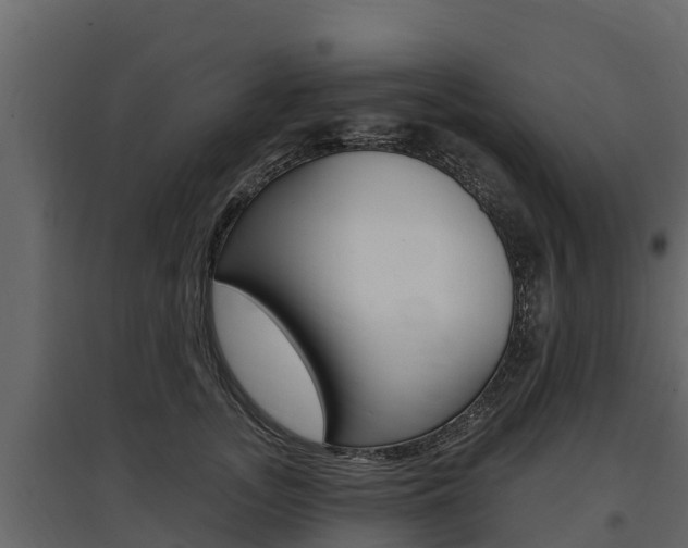 X0000097810755200803140759