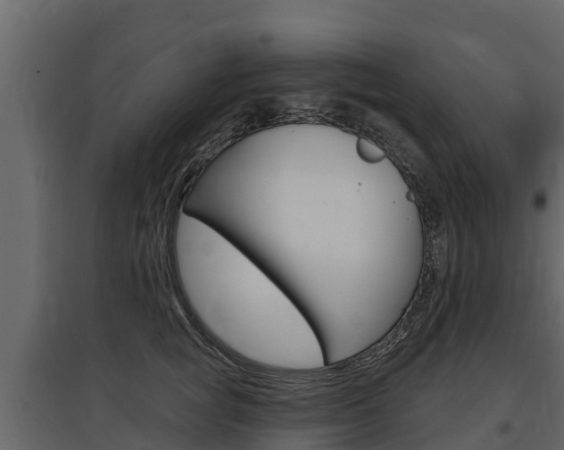 X0000097810757200803140759