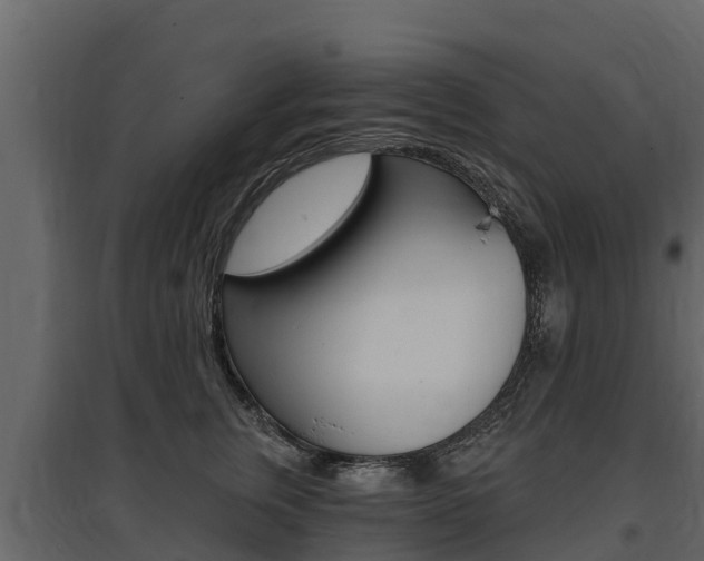 X0000097810759200803140759