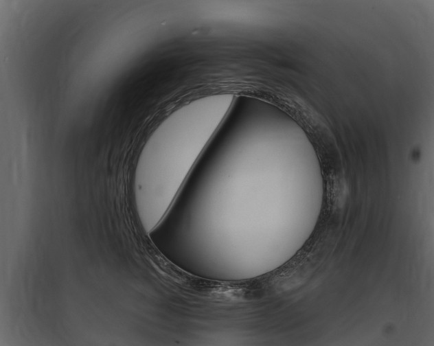 X0000097810760200803140759