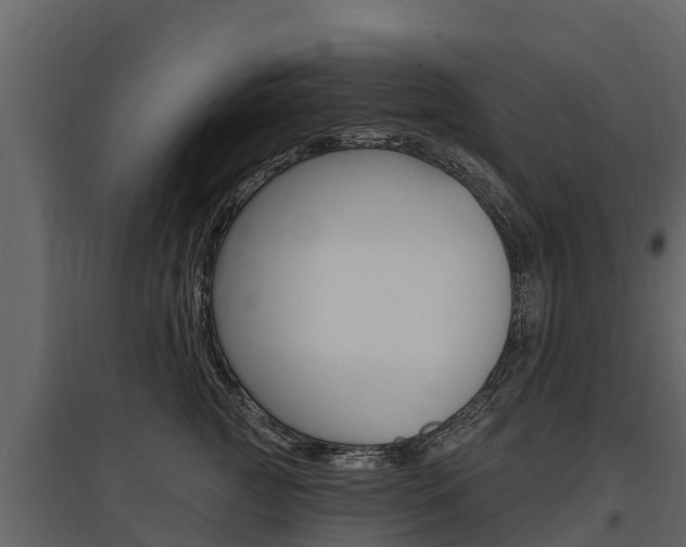 X0000097810761200803140759