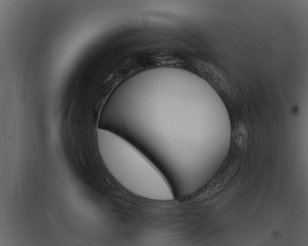 X0000097810763200803140759