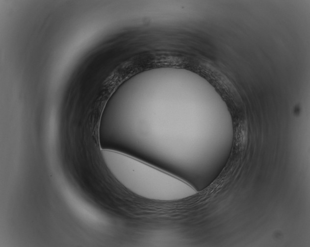 X0000097810764200803140759