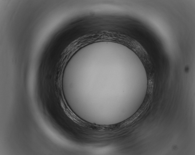 X0000097810765200803140759