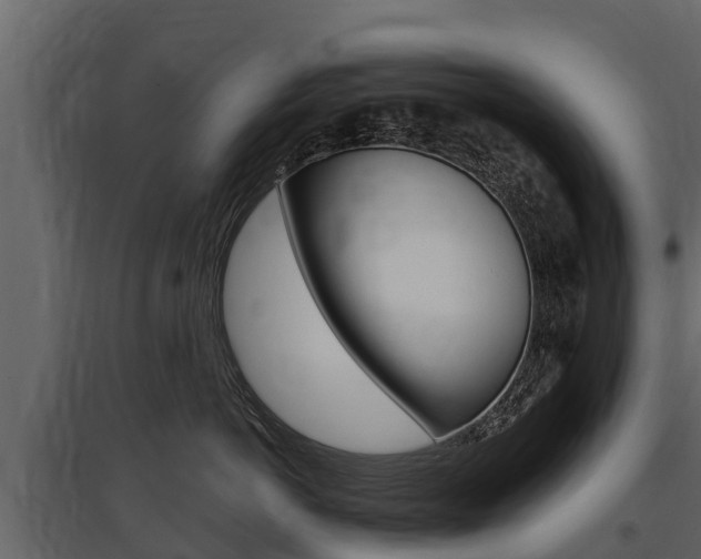 X0000097810766200803140759