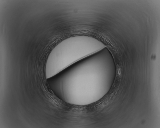 X0000097810771200803140758