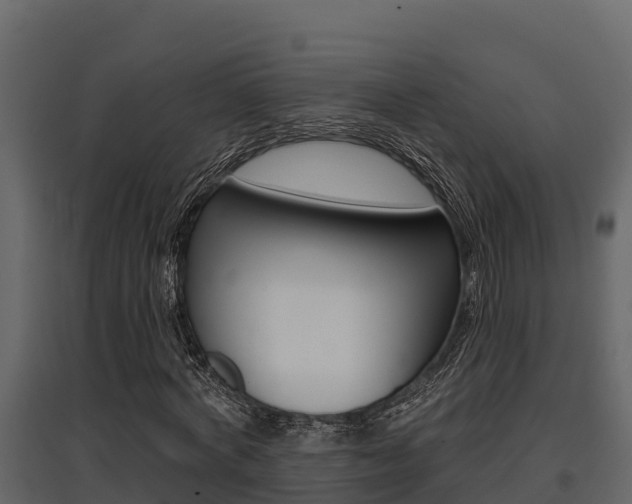 X0000097810772200803140758