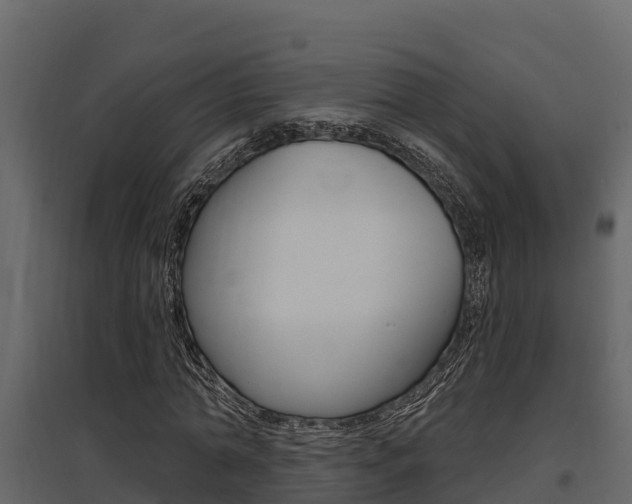 X0000097810774200803140758