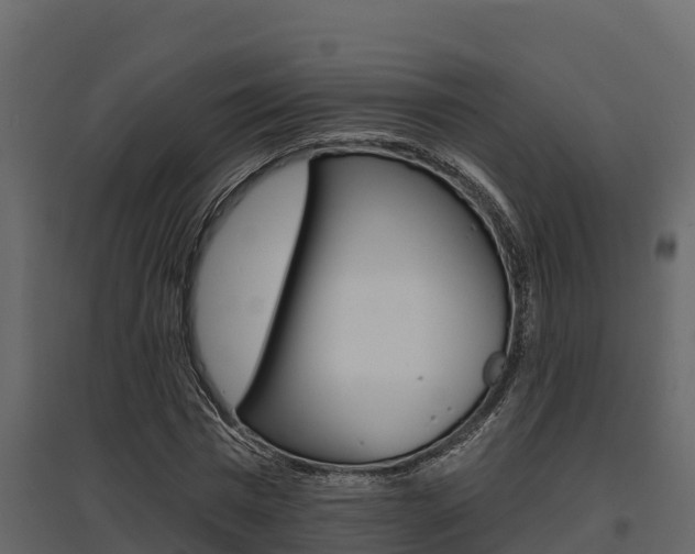 X0000097810777200803140758