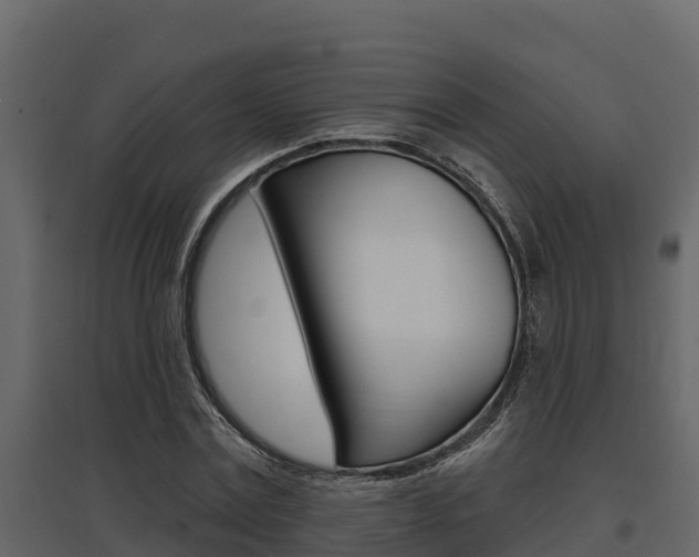 X0000097810779200803140758