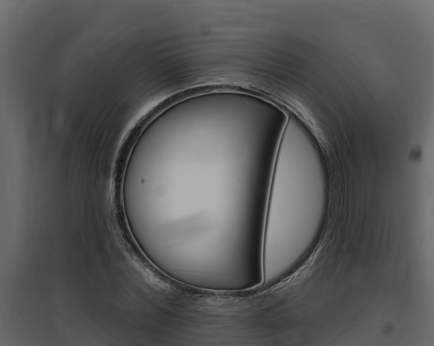 X0000097810780200803140758