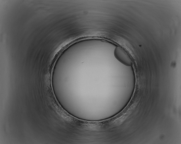 X0000097810781200803140758
