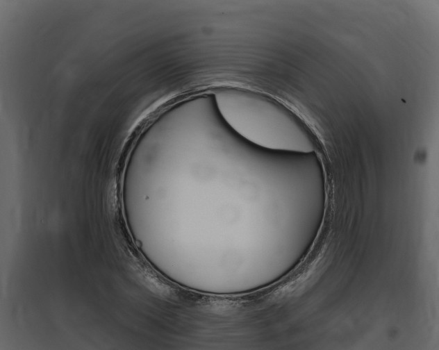 X0000097810782200803140758