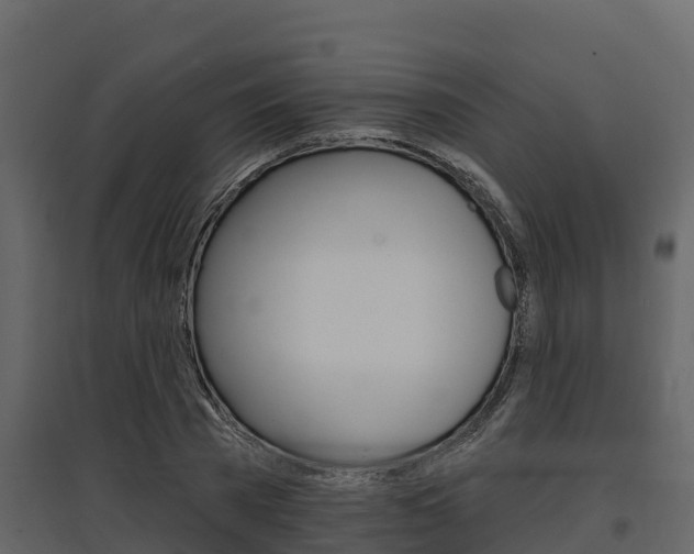 X0000097810785200803140758