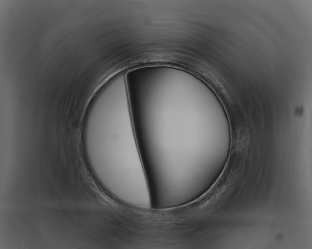 X0000097810786200803140758