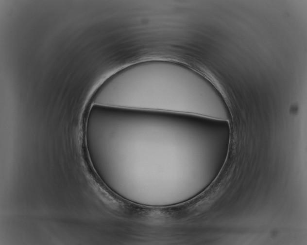 X0000097810787200803140758