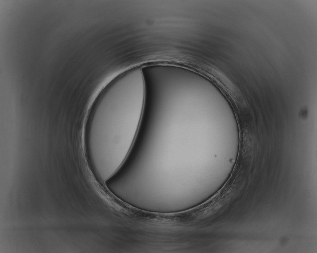 X0000097810788200803140758