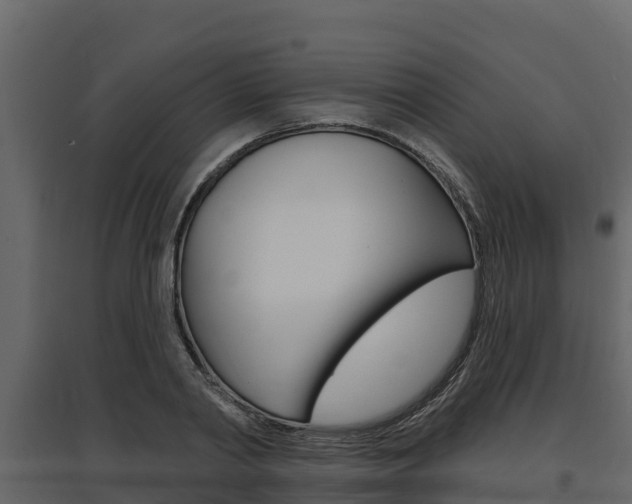 X0000097810790200803140758