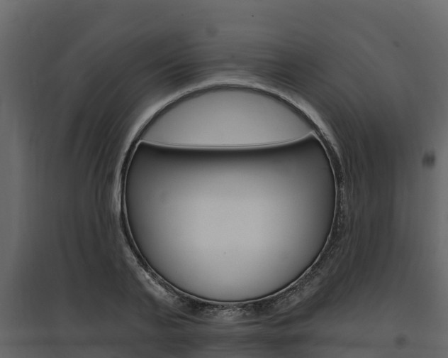 X0000097810791200803140758