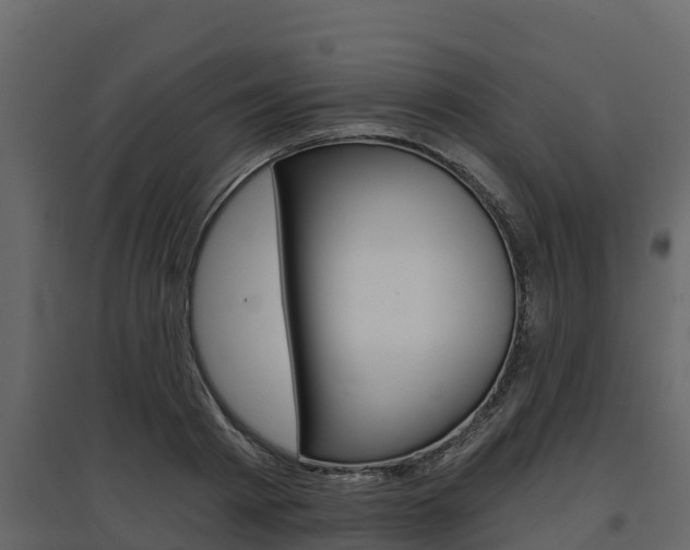 X0000097810793200803140758