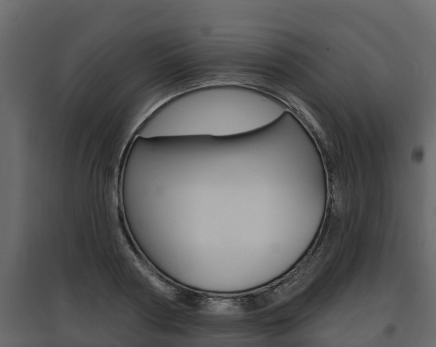 X0000097810794200803140758