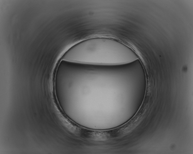 X0000097810795200803140758