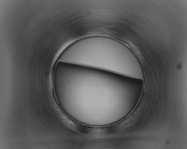 X0000097810796200803140758