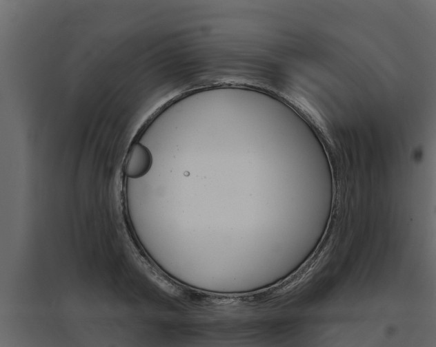X0000097810798200803140757