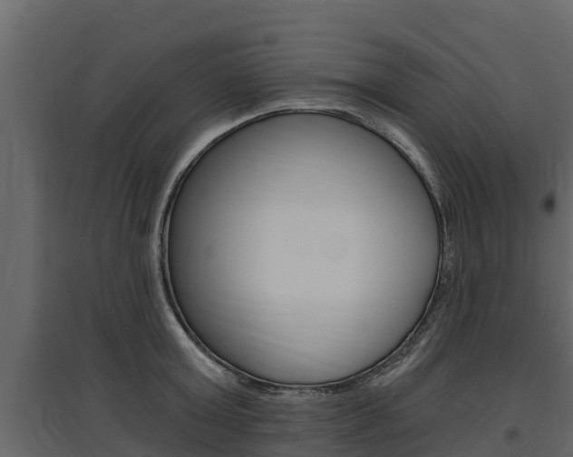 X0000097810803200803140757