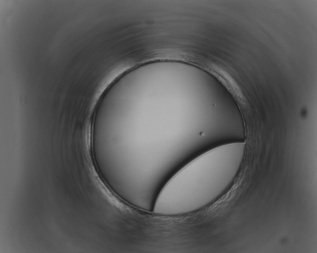 X0000097810804200803140757